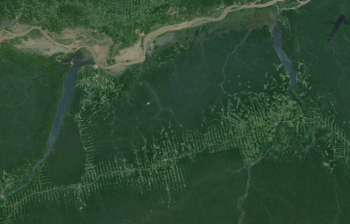Voici un exemples déforestation de la forêt amazonienne pour la création de pâturage. C'est dans la état de Pana, au sud de la rivière amazonienne (elle est au nord de l'image). Source: Google Earth (imagerie de Landsat).